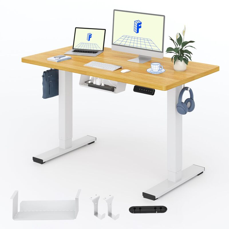 Flexispot Electric Standing Desk